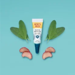 Burt's Bees Burt's Bees Cold Sore Treatment + Beeswax Lip Balm Value Pack - 2pk/0.85oz