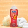 Softsoap Body Wash Pomegranate & Mango - 20 Fl Oz/4ct -Serene Skin GUEST 1af4aee0 9146 41e8 b694 6c6a96f4edf5