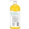 Alba Botanica Very Emollient Sparkling Mint Bath & Shower Gel - 32 Fl Oz (1qt) Bottle -Serene Skin GUEST 43cf721f de38 4d8c b5ce 525caba01898