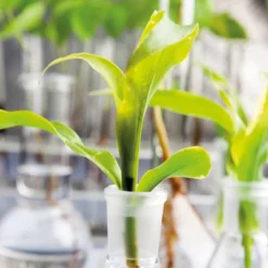 Tyro Superior Anti-Age Night Cream - Face Cream Moisturizer - 1.69 Oz -Serene Skin GUEST 52399475 54c0 451a 8022 4b9976ac7e36