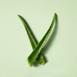 Vaseline® Vaseline Intensive Care Soothing Hydration Hand And Body Lotion Aloe - 3ct/20.3 Fl Oz Each -Serene Skin GUEST 5b1cb602 bcc8 4d3f 9d59 13bce7f04f77